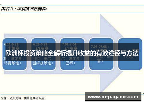 欧洲杯投资策略全解析提升收益的有效途径与方法
