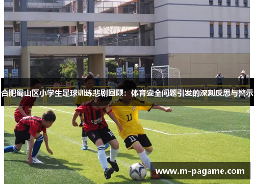 合肥蜀山区小学生足球训练悲剧回顾：体育安全问题引发的深刻反思与警示