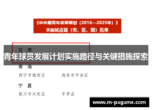 青年球员发展计划实施路径与关键措施探索