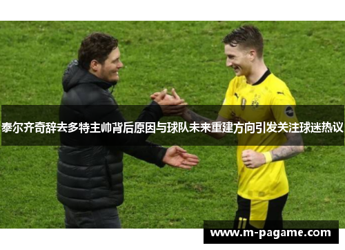 泰尔齐奇辞去多特主帅背后原因与球队未来重建方向引发关注球迷热议